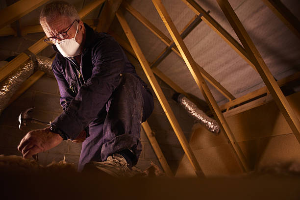 Best Insulation Contractor Near Me  in Cherryville, PA